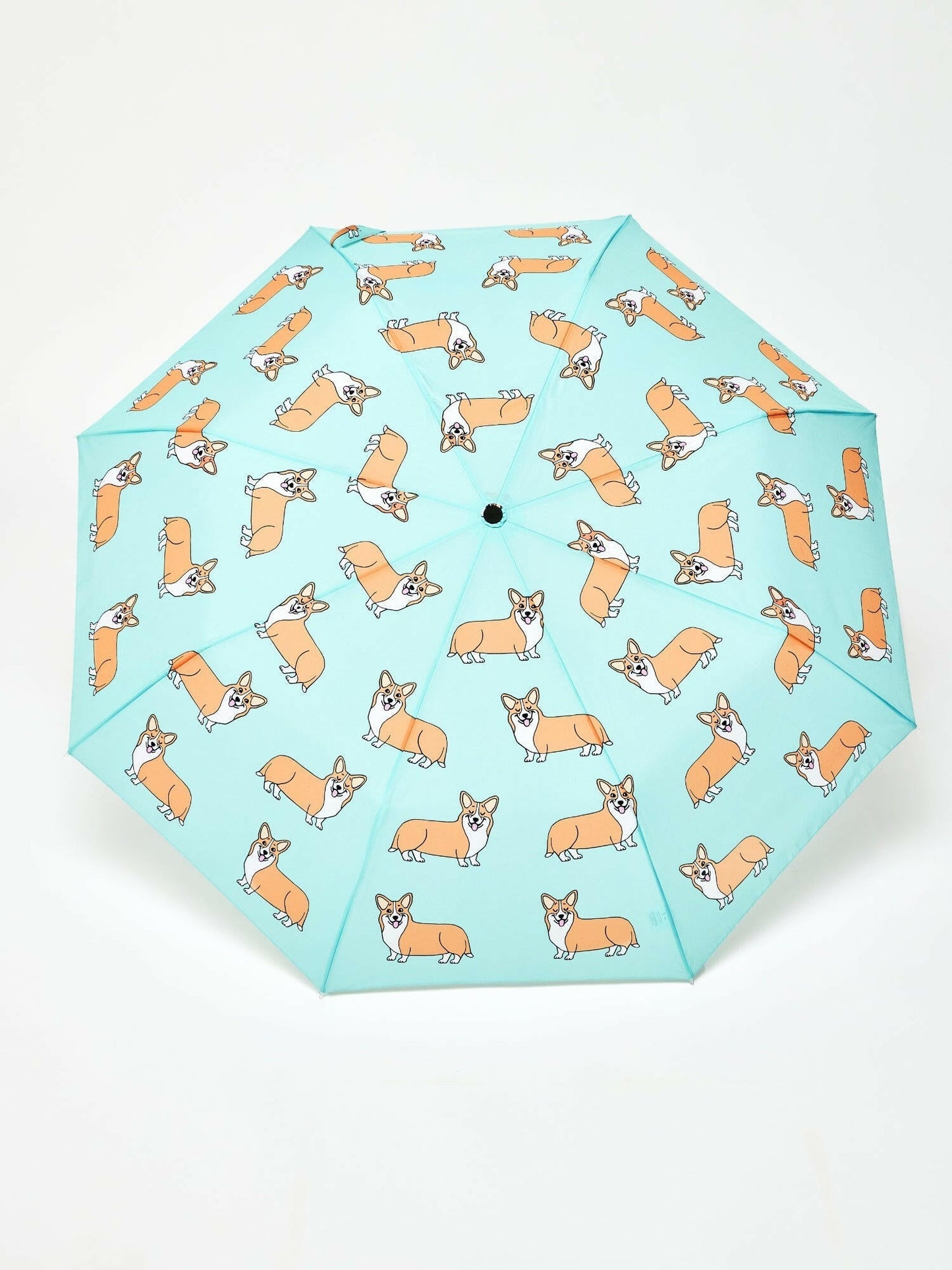 Corgi Mint Eco-friendly Compact Duck Umbrella