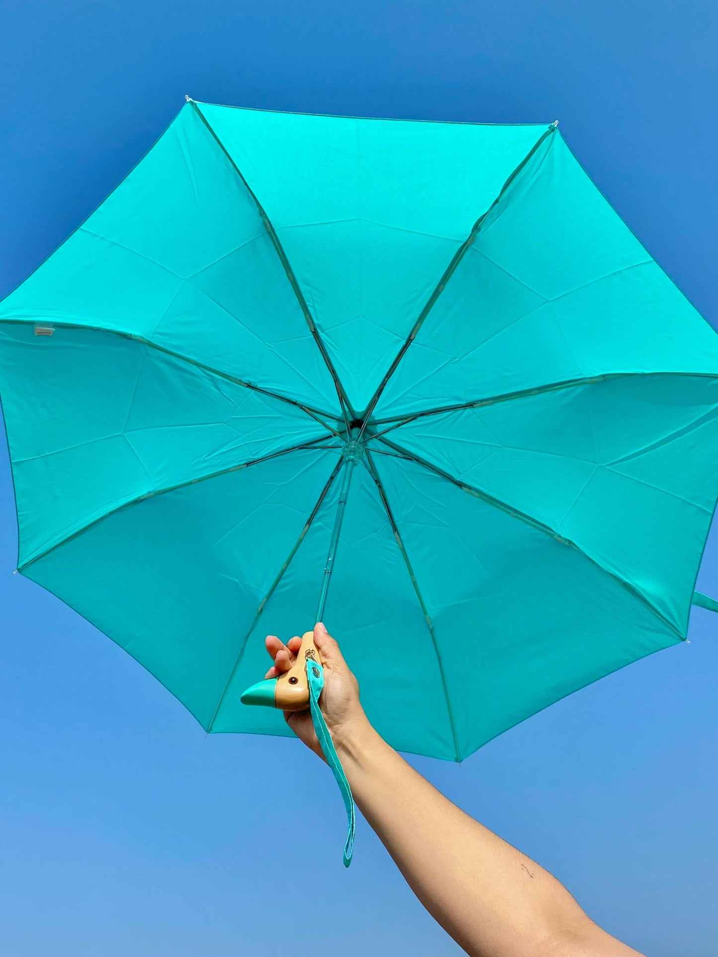 Mint Eco-Friendly Compact Duck Umbrella